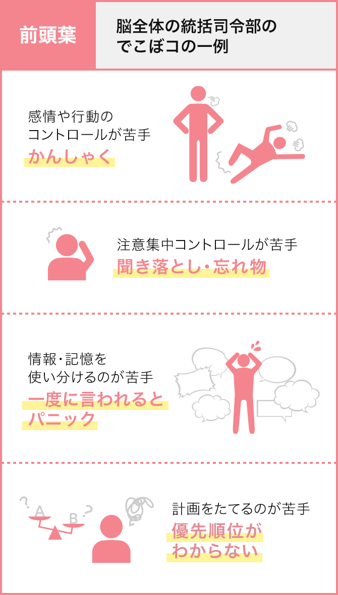 前頭葉：脳全体の統括司令部のでこぼコの一例