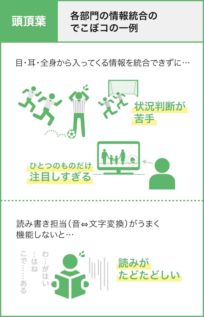 頭頂葉：各部門の情報統合のでこぼコの一例